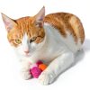 LXUEJIE Cat Plush Balls Soft Interactive Toy for Cats-2